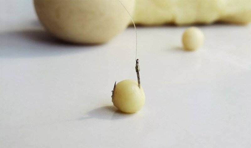 Источник фото activefisher.net