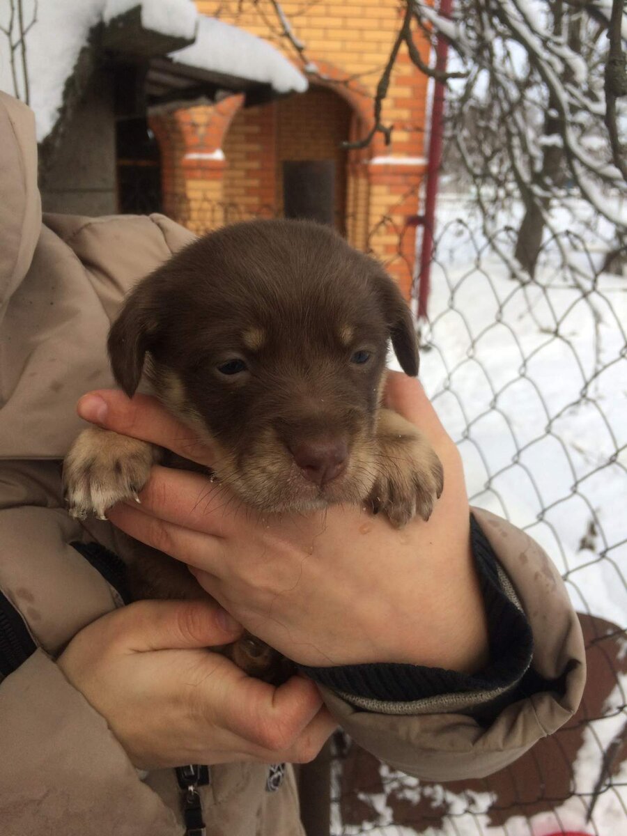 фото из архива Общественной организации Хочу Домой