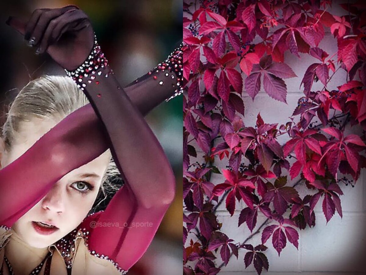 Изображение взято из открытых источников