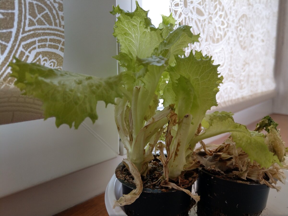 Фото автора блога