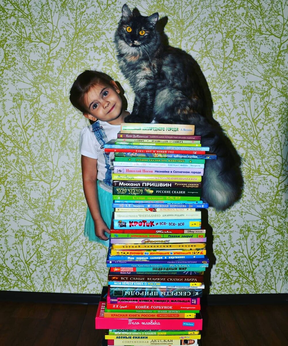 Наши книги и кошечка ...