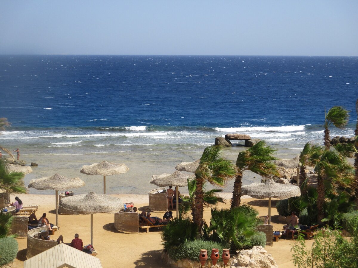 Египет. Красное море