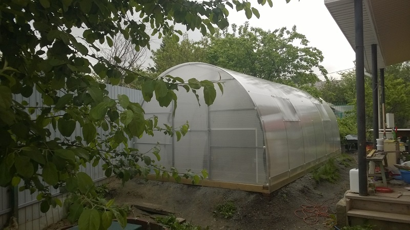 Теплица "Крепыш" в мае