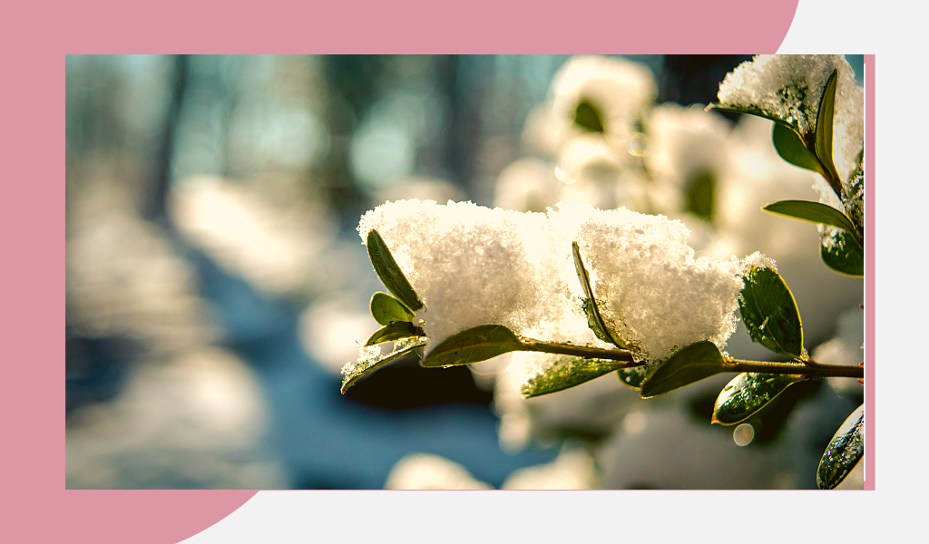 Фотография из отрытых источников