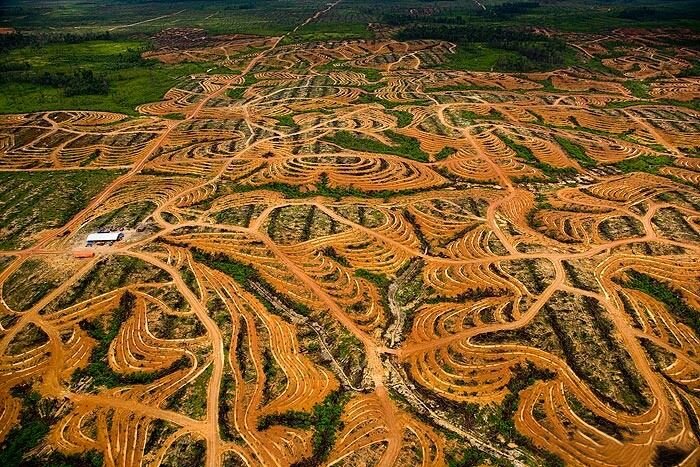 Кадр из фильма. Открытый источник.