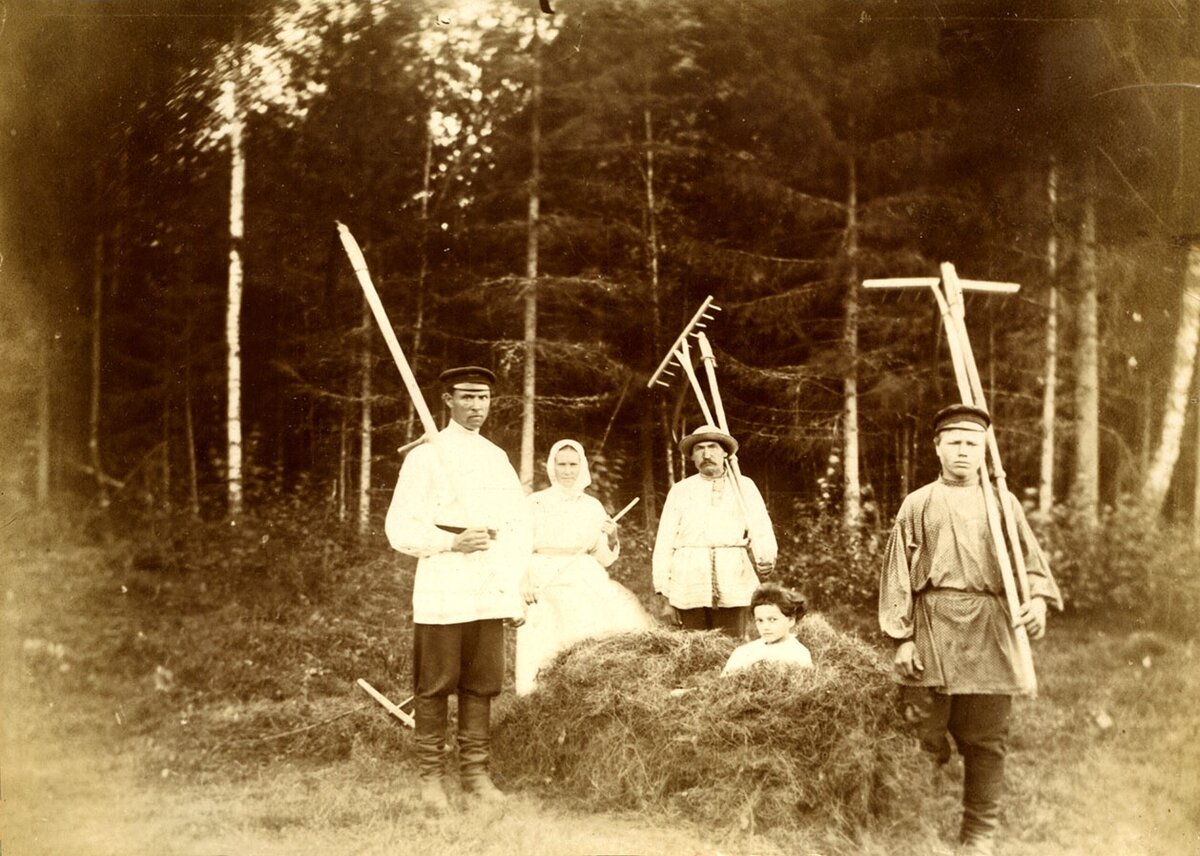Крестьяне на покосе, сельцо Архангельское Ельнинского уезда. Начало XX века.