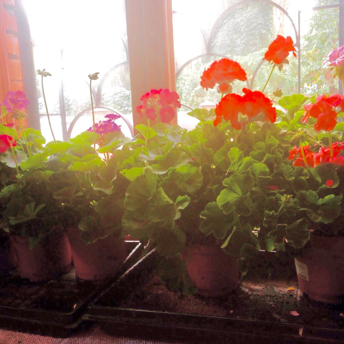 Личное фото 