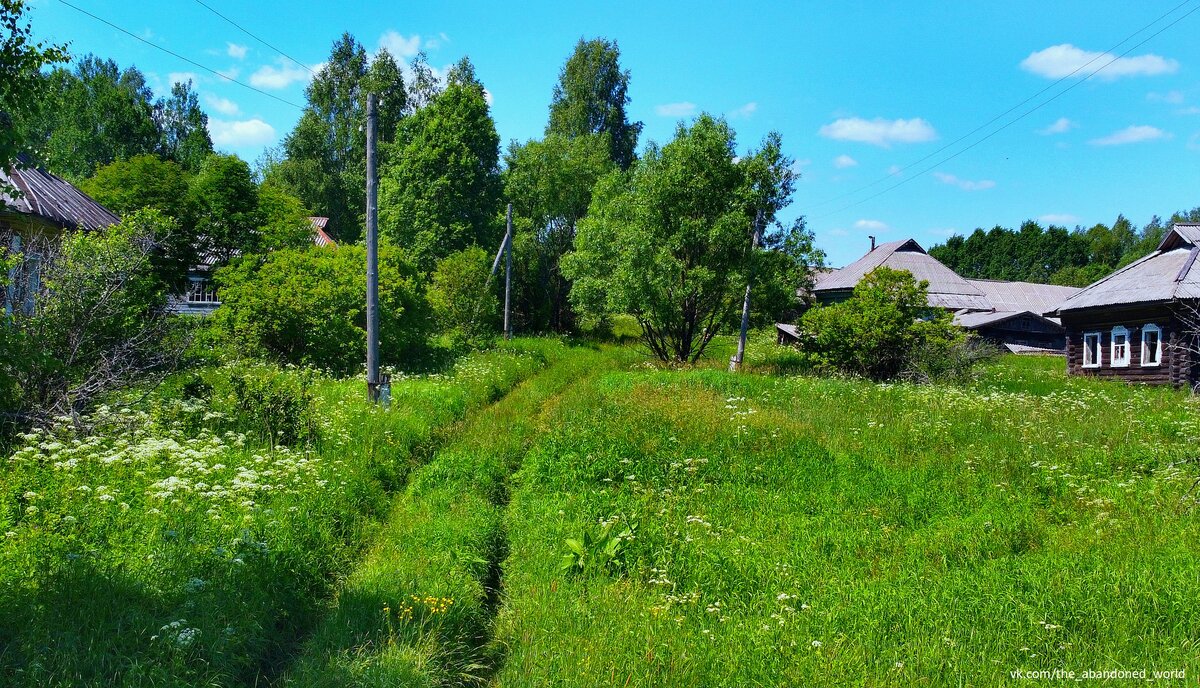 Деревни ярославского района фото