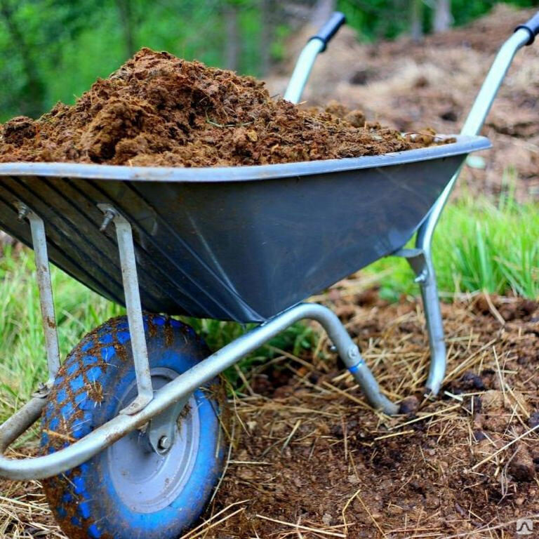 Хорошо удобренная почва дольше сохраняет влагу