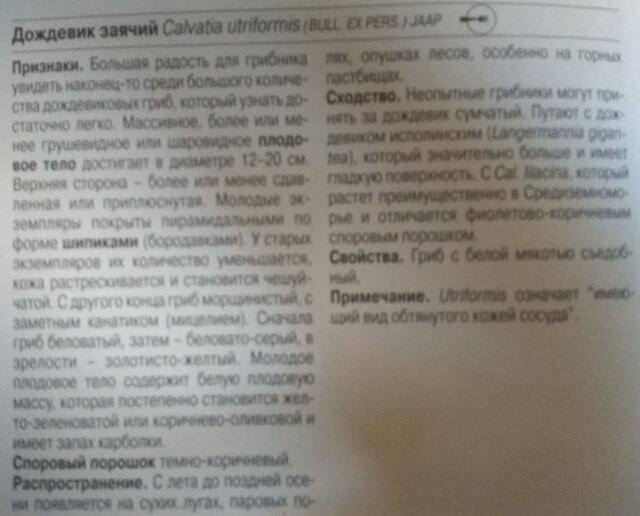 «Мне хотелось спрятаться в узкую щель под шкафом»: как живут люди с социофобией