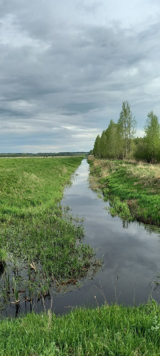 Лепельский район