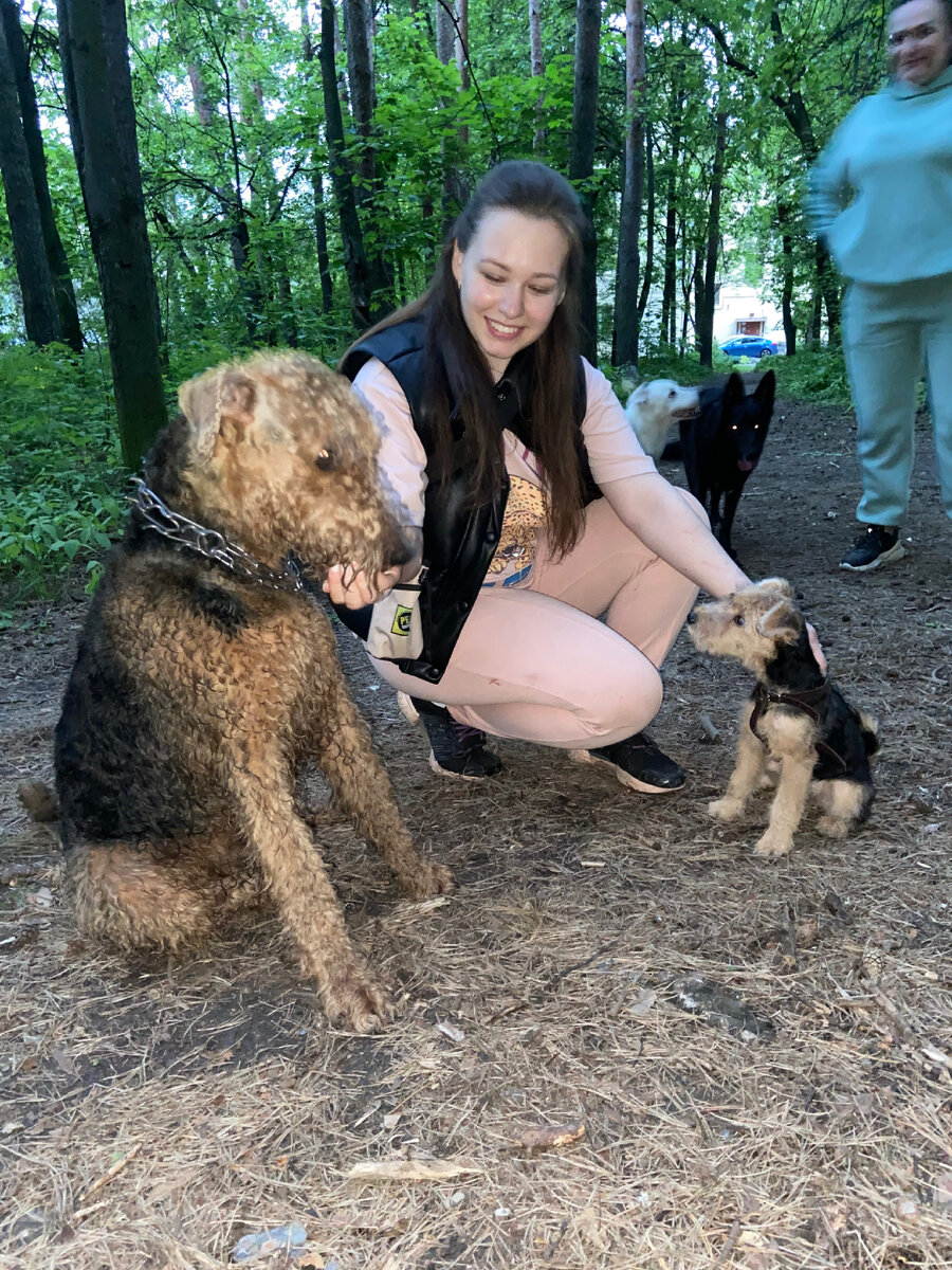 Две версии одной собаки😂