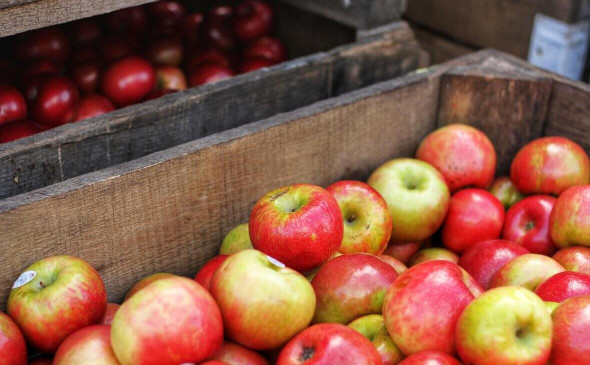 Фото: pexels.com 