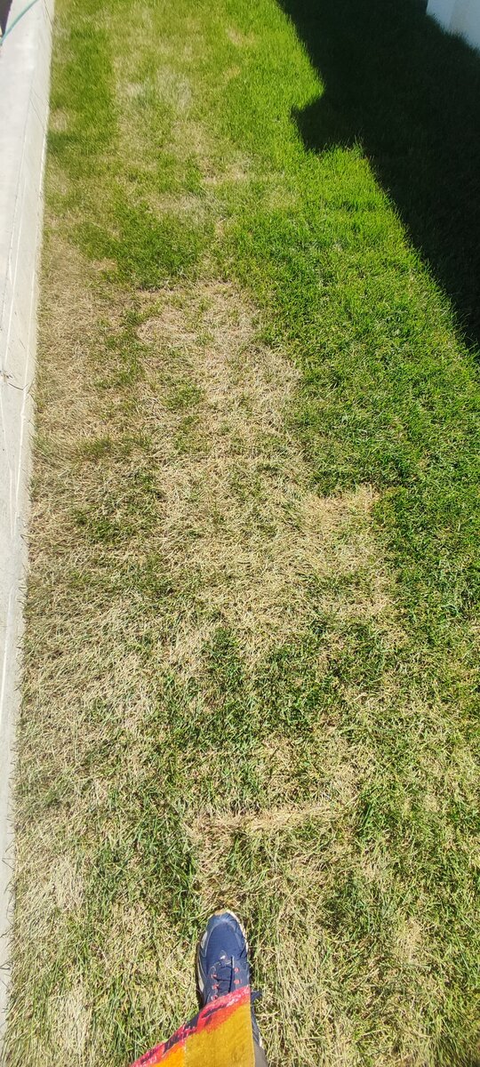 Последствия недостаточного полива