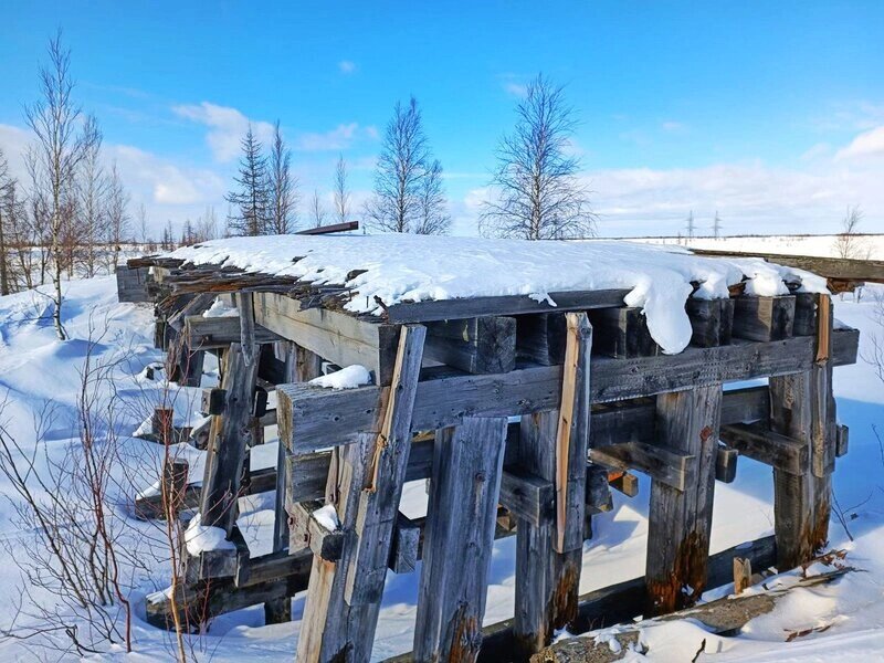 Мертвая железная дорога, ЯНАО. Фото: Виктор Иваницкий