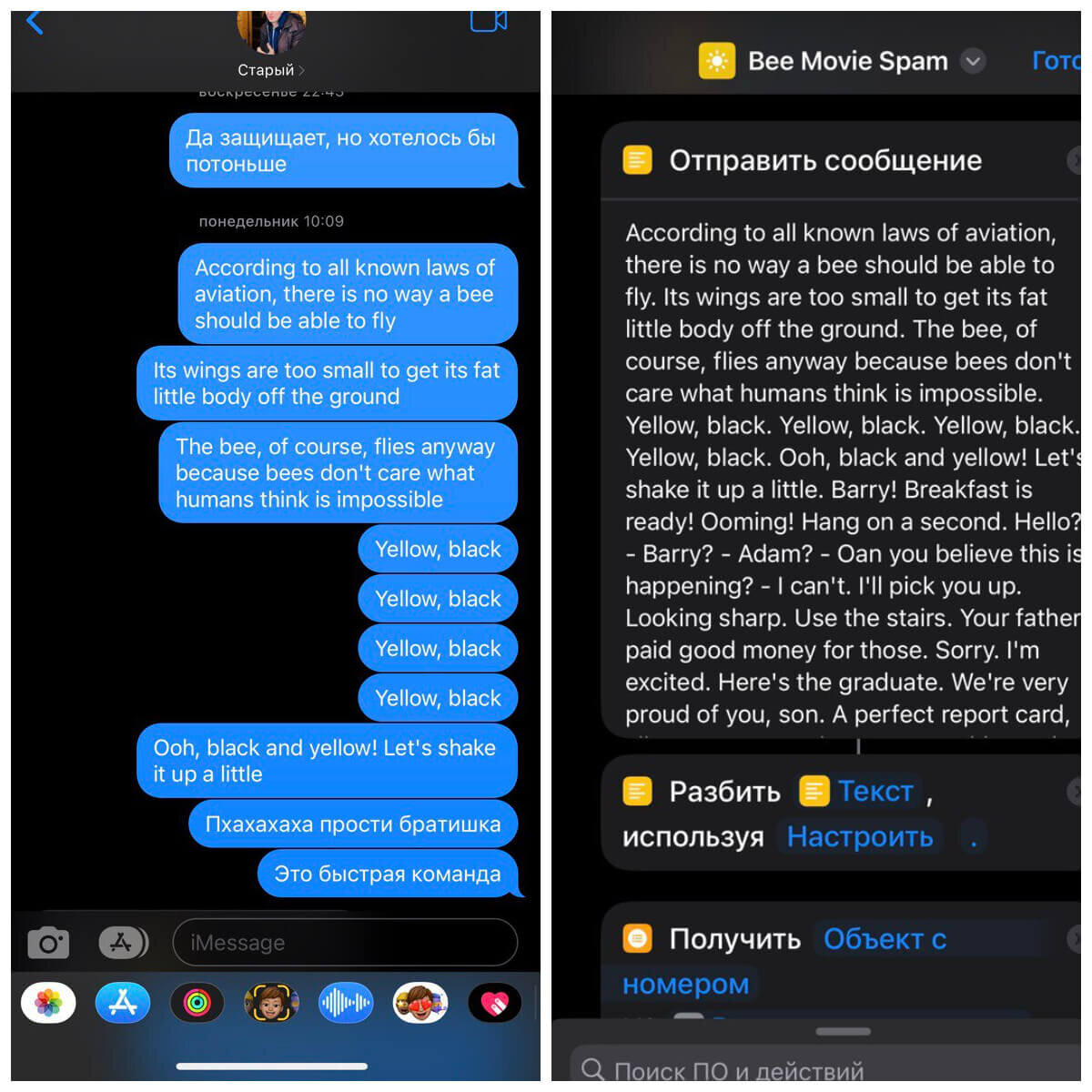    Забавный спам для вашего iPhone. Пользуйтесь!