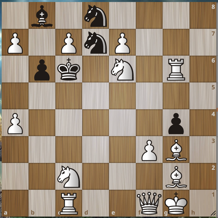 м1, ход белых