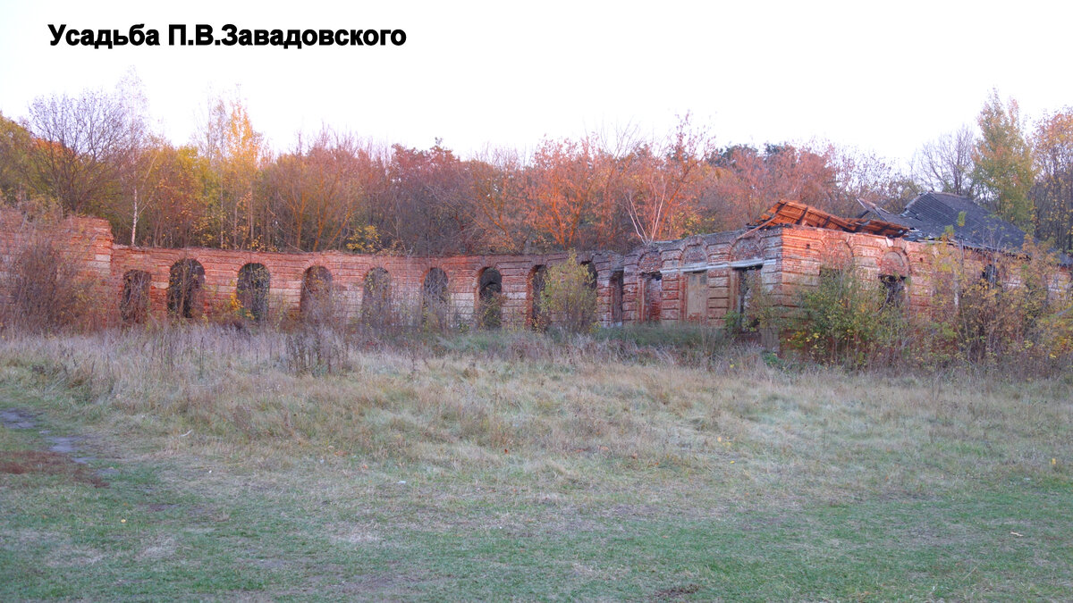 Усадьба Завадовского Дохновичи