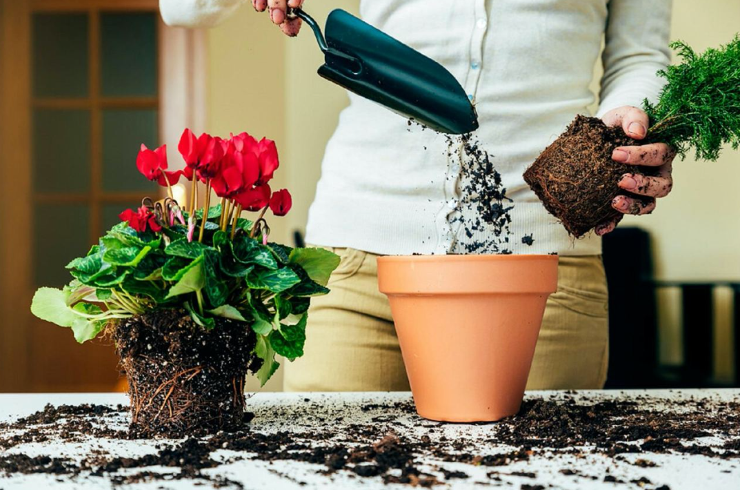 ​Специалист по уходу за растениями (Фитобиолог) в компанию Зеленая Среда