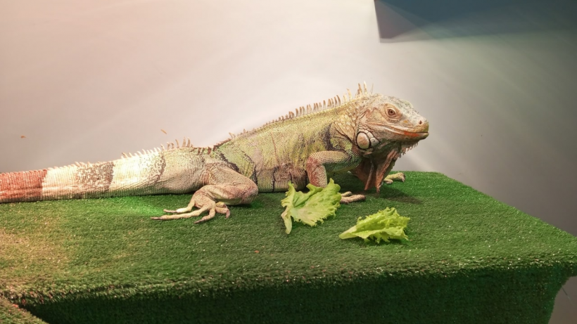   Фото Пресс-служба министерства образования Саратовской области