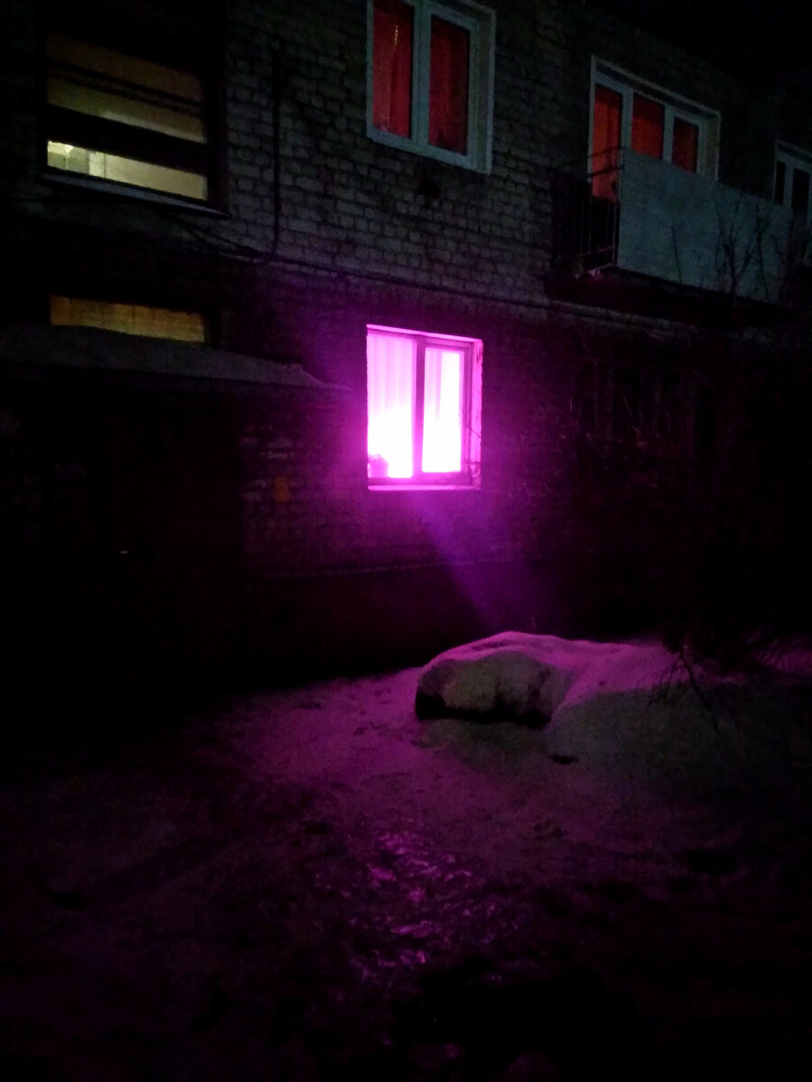 Фото автора. Уже работают люди))