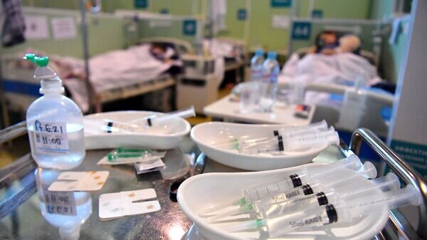    © photo: Sputnik / Pavel Bednyakov