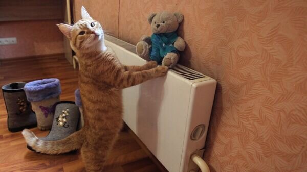    © Sputnik / Мария Девахина