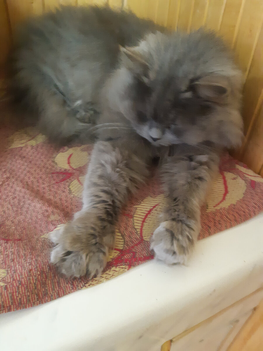 Простите, фото ...не очень, но так уж получилось. 