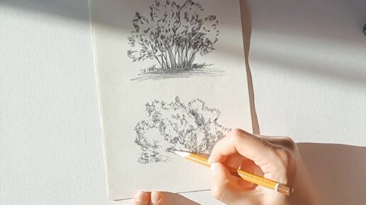 как нарисовать кусты простым карандашом