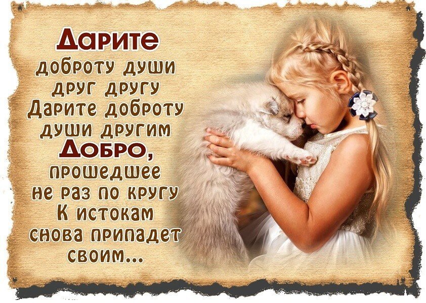 фото из свободных источников интернета