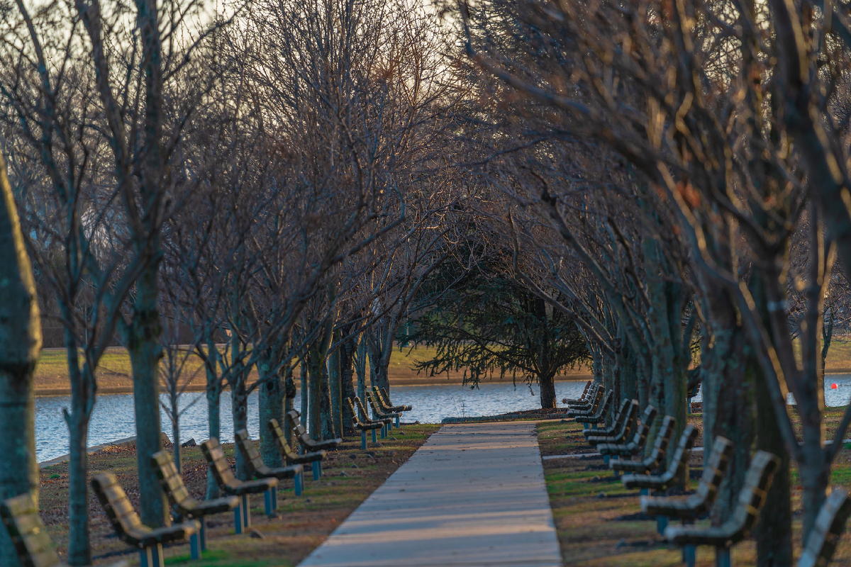 Источник фото: Salty Singh Unsplash.com