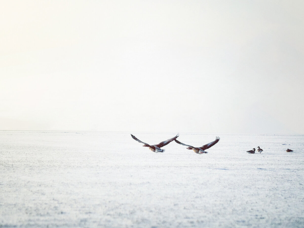 Прожить с тобой всю жизнь © Анна Манахова