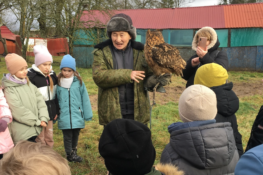 Фото: клуб соколиной охоты «Бусидо»