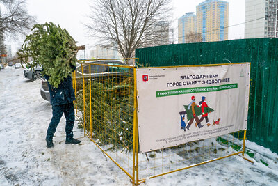    Переработка и утилизация новогодних елей в Москве в рамках акции «Елочный круговорот» © Департамент природопользования и охраны окружающей среды Москвы