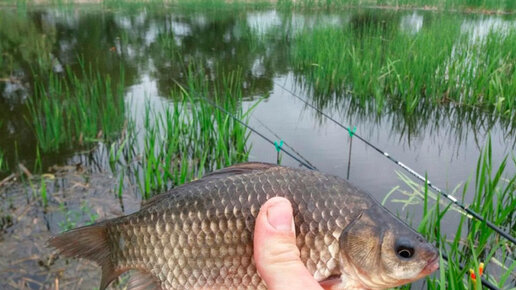 ЕСЛИ У ТЕБЯ ЕСТЬ ЛОДКА,ТЕБЕ ОБЯЗАТЕЛЬНО НУЖНА ЭТА СНАСТЬ КОТОРАЯ ЛОВИТ ...