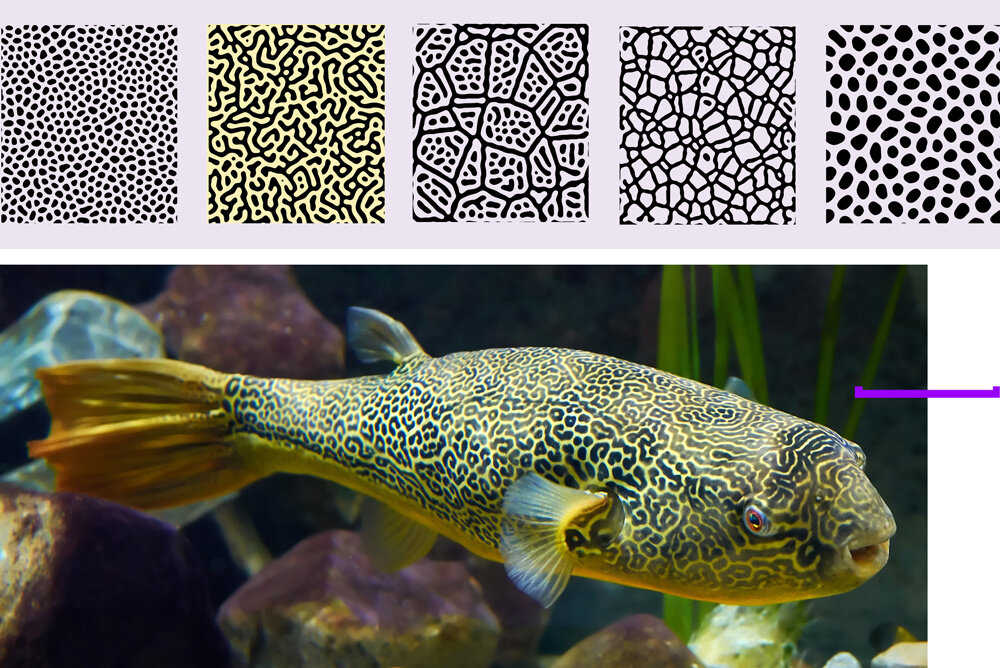 Однояйцевые близнецы отпечатки пальцев. Интересные факты женщинам близнецы. У близнецов одинаковые отпечатки пальцев. Отпечатки пальцев однояйцевых близнецов. У близнецов разные отпечатки.