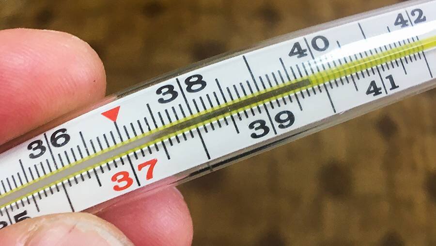 Высокая температура