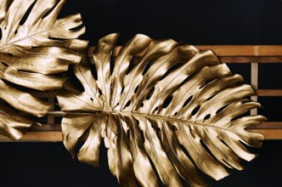 Изображение из открытого источника. Unsplash