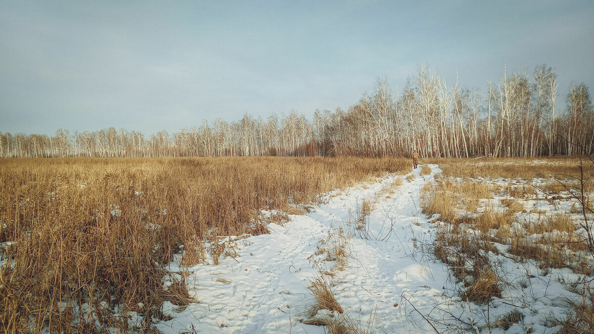     Урожай 2023 года в Удмуртии будет в немалой степени зависеть от высоты снежного покрова и характера весны. Об этом в прямом эфире ЦУР рассказала вице-премьер правительства Удмуртии Ольга Абрамова.