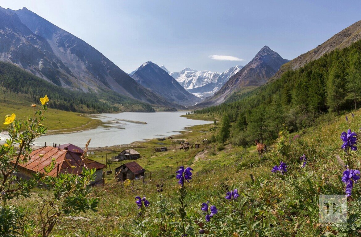 Природный пояс у подножия гор алтай. Долина Аккем горный Алтай. Озеро Аккем Алтай. Долина семи озер Аккем. Озеро горных духов Аккем.