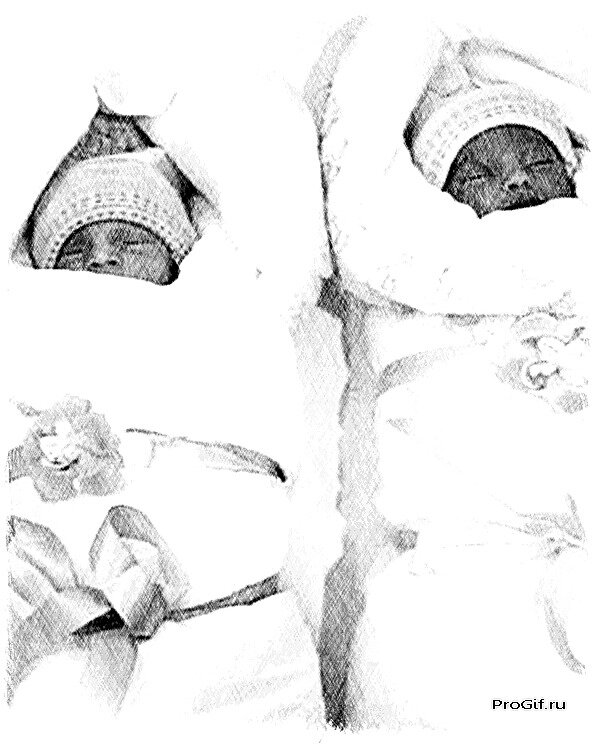 Фото из открытого источника