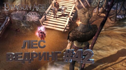 ЛЕС ВЕДРИНГ►DRAGON AGE ORINGINS►42