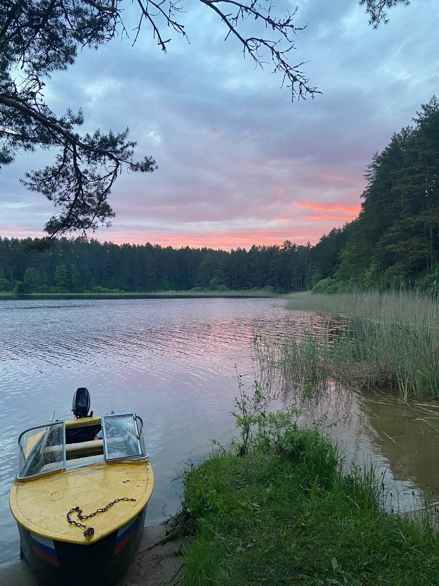 Наш железный конь и пейзаж