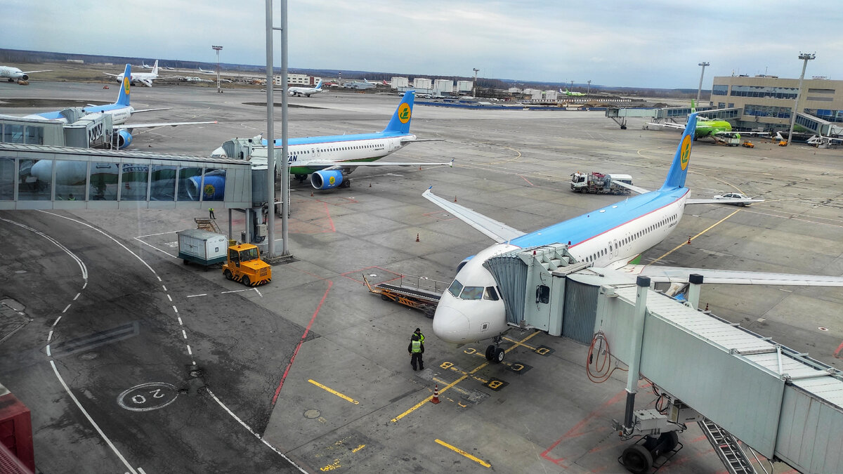 Самолеты авиакомпании Uzbekistan Airways в аэропорту Домодедово
