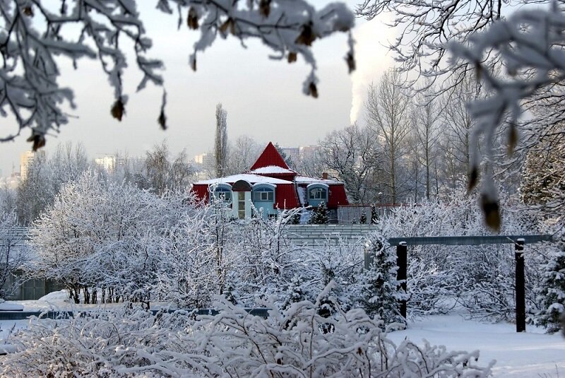 Южно-Уральский ботанический сад-институт. Фото: https://vk.com/ufabotsad | ВКонтакте (vk.com)