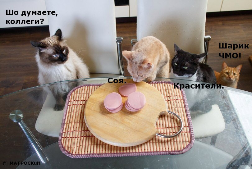 иллюстрация из яндекс картинки.