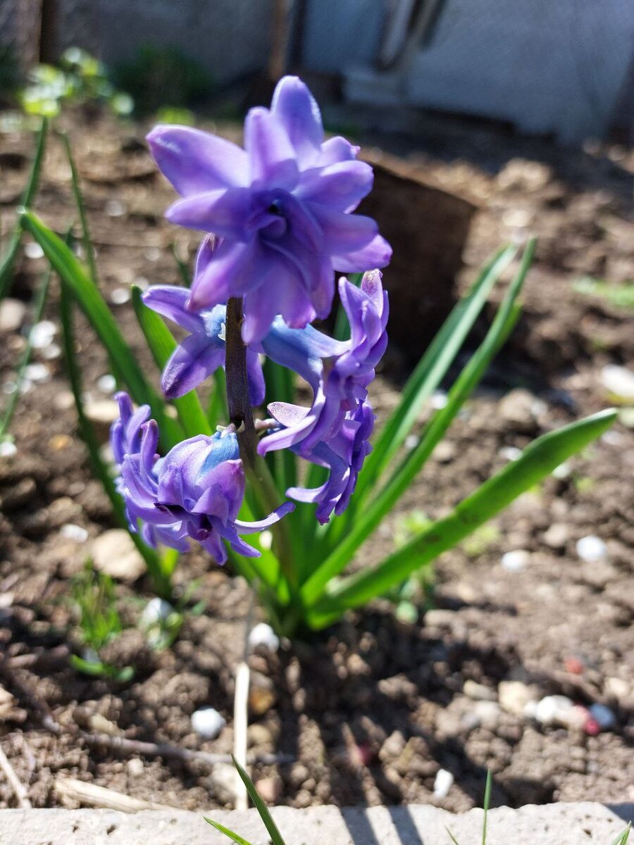 Только для Вас!