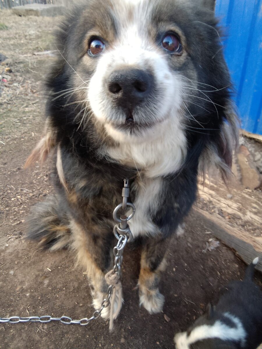 Как быстро идёт деградация здравого смысла??