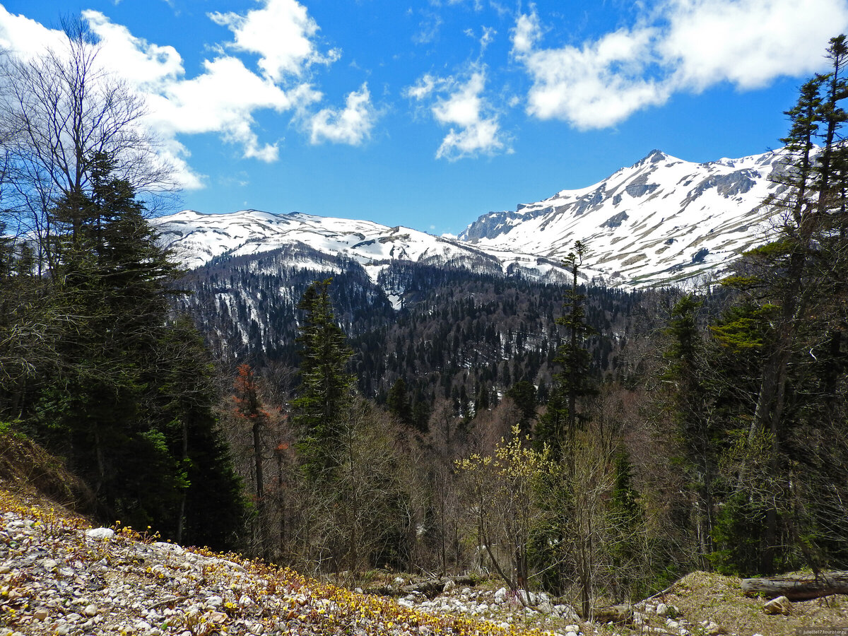 © Юлия juliette17