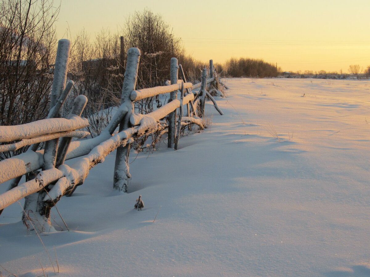 фото Герта Евменеева
